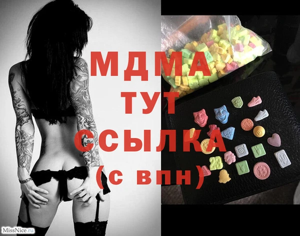 стаф Аркадак