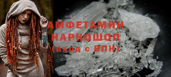 стаф Аркадак