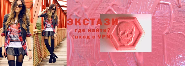 стаф Аркадак