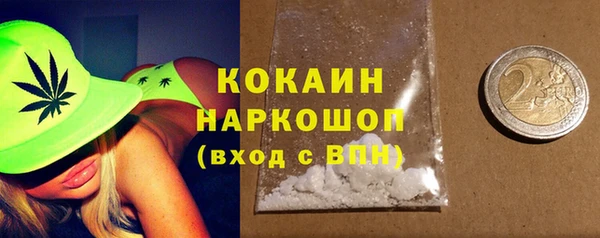 стаф Аркадак