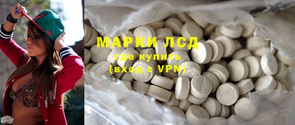 стаф Аркадак