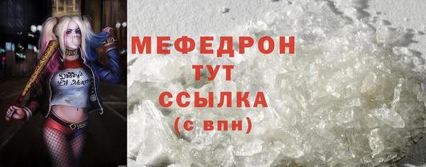 стаф Аркадак