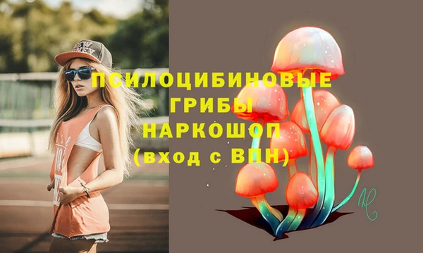 стаф Аркадак