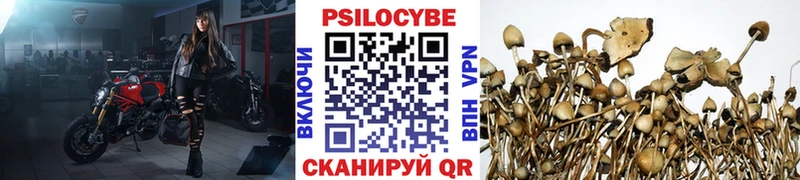 блэк спрут рабочий сайт  это наркотические препараты  Обоянь  Галлюциногенные грибы MAGIC MUSHROOMS  как найти наркотики 